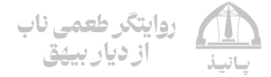 فروشگاه اینترنتی پانیذ
