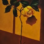 زر زرد تنها کد 39