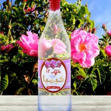 گلاب 12